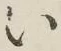 글자 い
