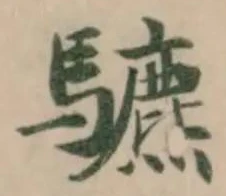 䮽 위치 확인됨