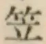 글자 笠