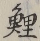文字鯉