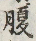 腹 위치 확인됨