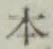 “本”字