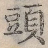 頭 위치 확인됨