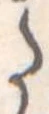 Đã định vị 𛁠