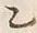 글자 乙