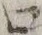 文字只