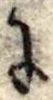Đã định vị 𛂌