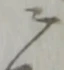 ニ 위치 확인됨