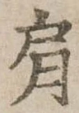 Đã định vị 肩
