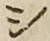 字シ
