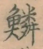文字鱗