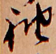 已定位袖
