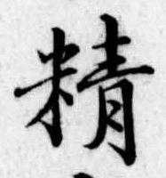 精 위치 확인됨