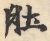 肚，已得其位