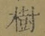 글자 樹