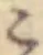 こ 위치 확인됨