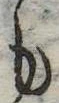 位置定マレル𛃚