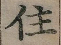 位置定マレル住