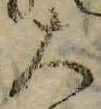 大 위치 확인됨