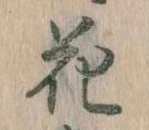 花 위치 확인됨