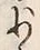 文字少