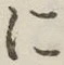 字に