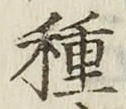 글자 種