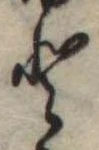 𛁻 위치 확인됨