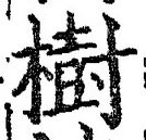 글자 樹
