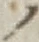 字ノ