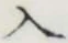 文字入