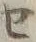 字セ