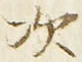 “次”字