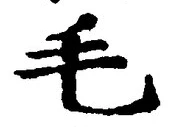 글자 毛
