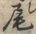尾 위치 확인됨