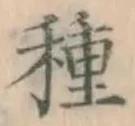 글자 種