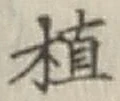 글자 植