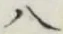 글자 八