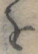 位置定マレル𛄜