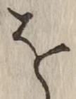 文字 を