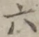 「六」字