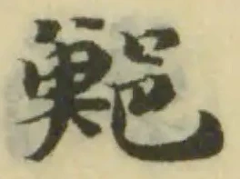 位置定マレル鮑