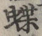 蝶 위치 확인됨