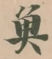 魚 위치 확인됨