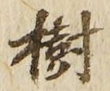 글자 樹