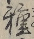 글자 種