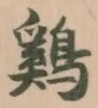 雞の位置