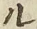 𡨸ル