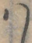 𛂞 위치 확인됨