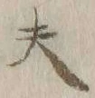 글자 夫